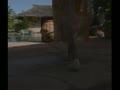 アダルト動画:原久美子